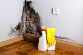 Best Dehumidification Services  in Aitkin, MN